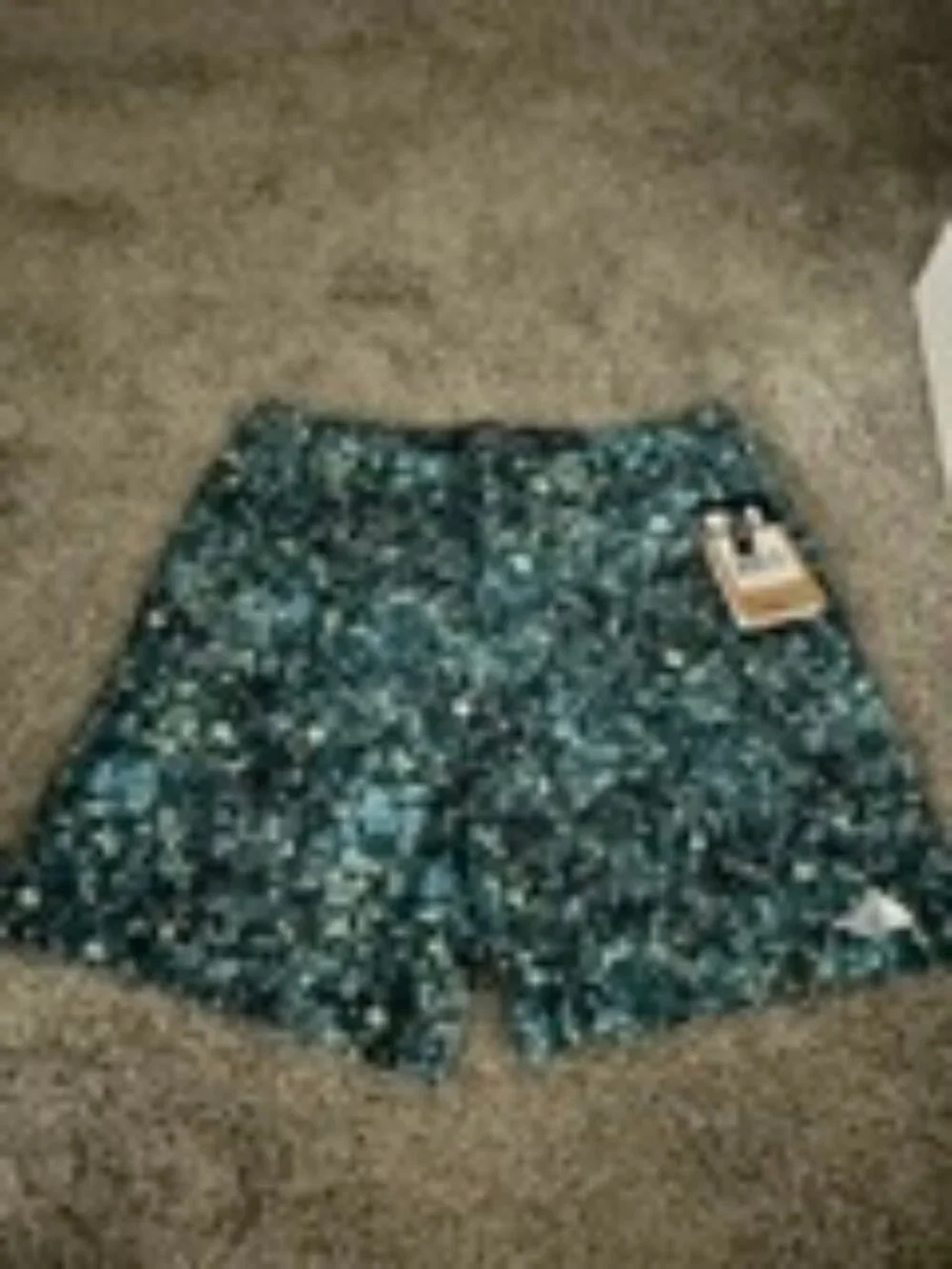NWT The North Face Men's Wander Short 2.0 Quick Dry Beta Blue Lichen Print